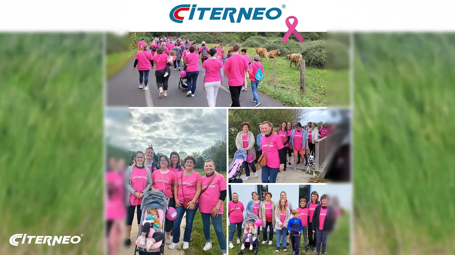 citerneo soutient octobre rose