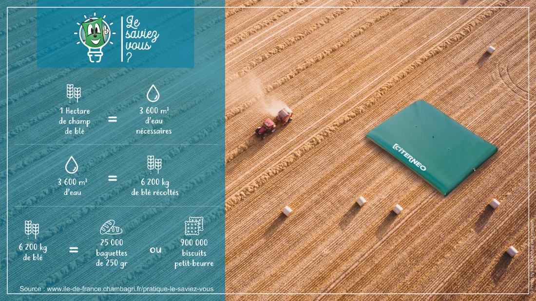 Infographie agriculture moissons ble